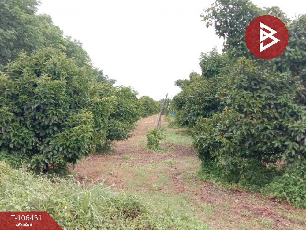 For SaleLandChanthaburi : Land for sale with a fruit orchard area of ​​32 rai 1 ngan 80 sq.wah, Makham, Chanthaburi