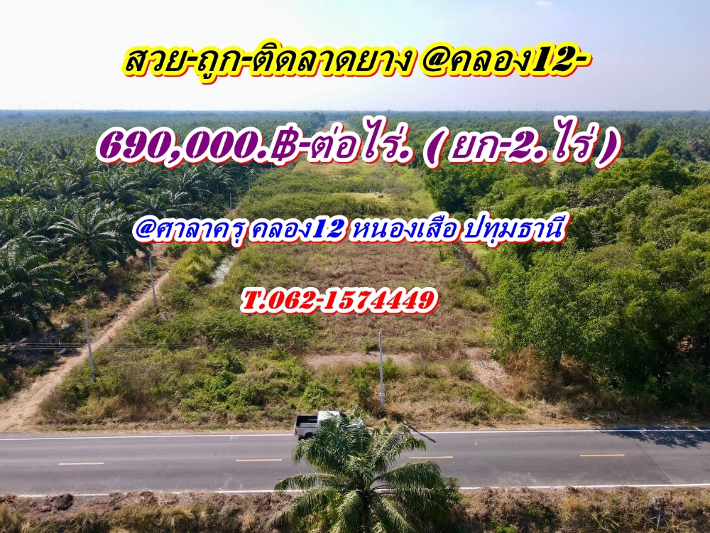 ขายที่ดินปทุมธานี รังสิต ธรรมศาสตร์ : ที่ดินสวยถูกทำเลดีติดลาดยาง@คลอง12หนองเสือ ต.ศาลาครุ คลอง 12 หนองเสือ จ.ปทุมธานี T.062-1574449