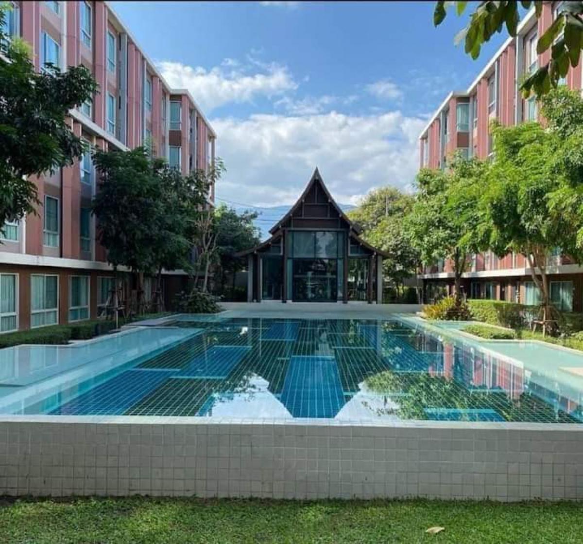 For SaleCondoChiang Mai : Condo for sale with tenant 
 Sansiri Di Wiang Santitham, Chiang Mai