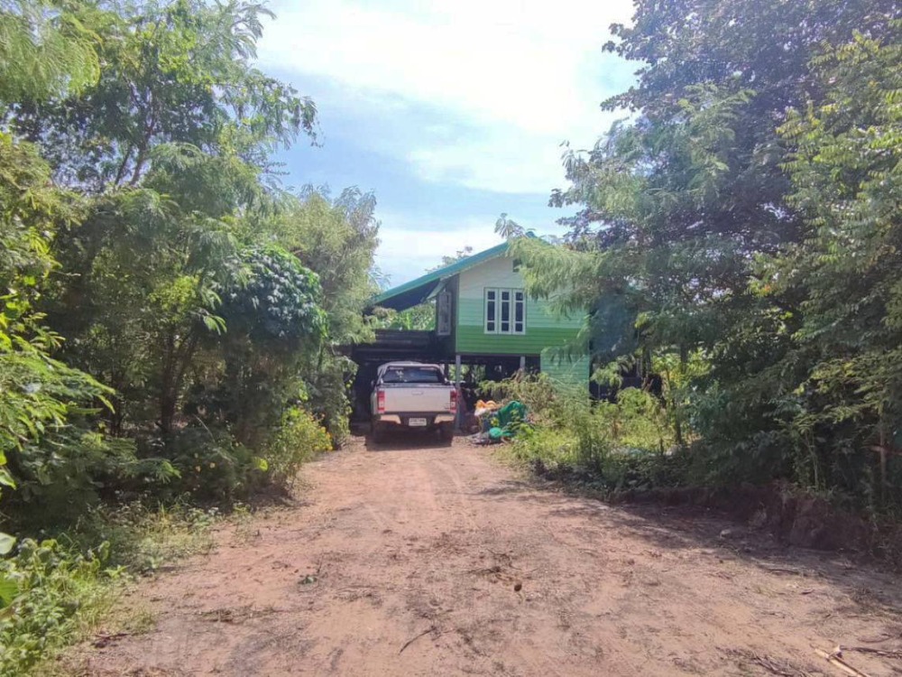 For SaleLandLop Buri : Land for sale of 10 rai 78 sq.w., with a wooden house, 2 bedrooms, 3 water