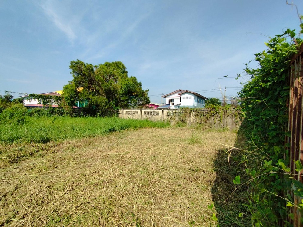 For SaleLandNonthaburi, Bang Yai, Bangbuathong : Land for sale in Bang Bua Thong area, area 97 sq.w., Bang Bua Thong, Nonthaburi, just 5 minutes from the road.