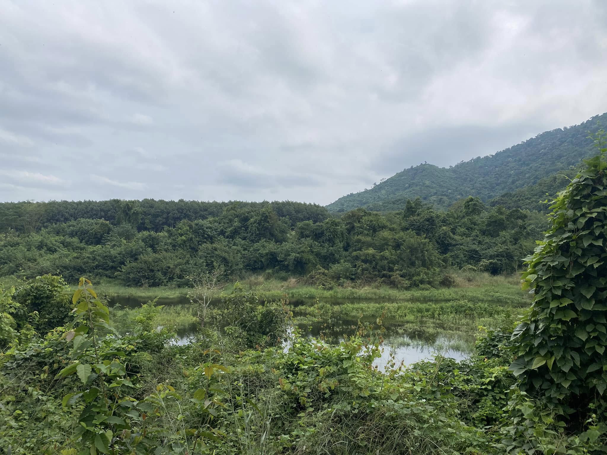 ขายที่ดินราชบุรี : 💢เจ้าของขายเอง💢 🌳 ที่ดินแปลงใหญ่..ใกล้พุน้ำร้อน