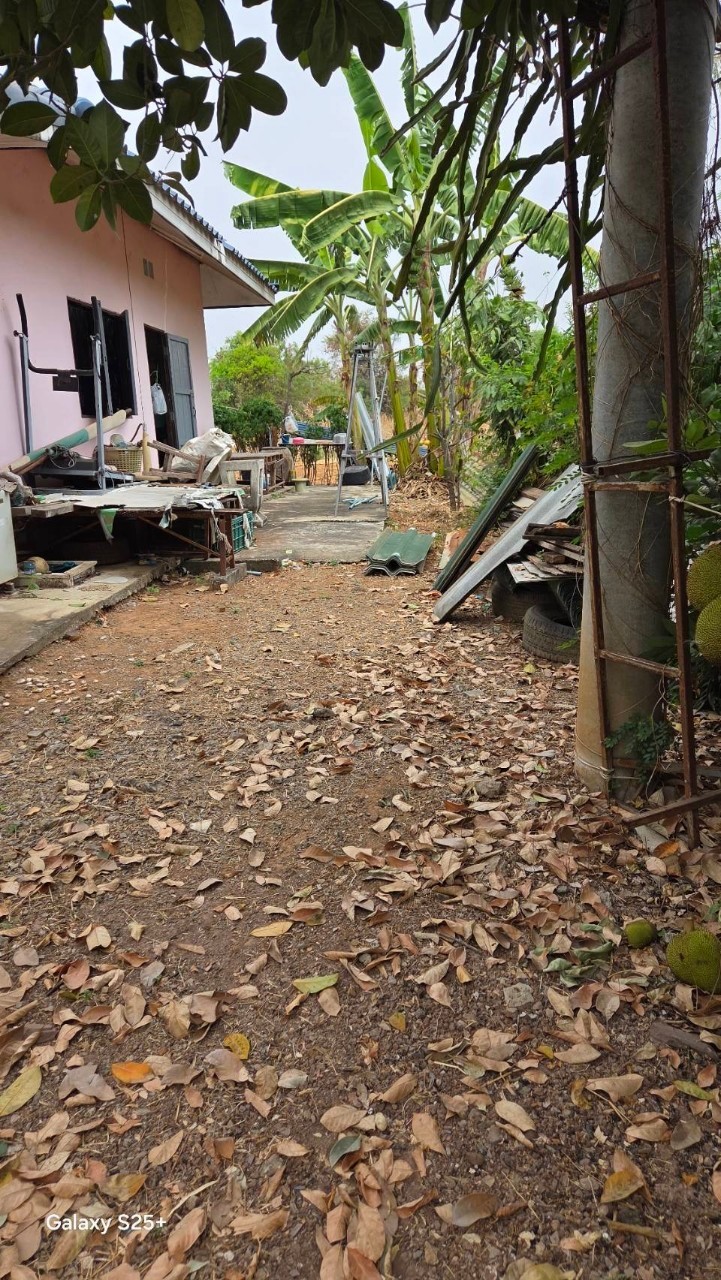 For SaleHouseKorat Nakhon Ratchasima : House for sale with land 50 sq.w. Golden Location, Korat, near Mittraphap Road, convenient to travel, good price!