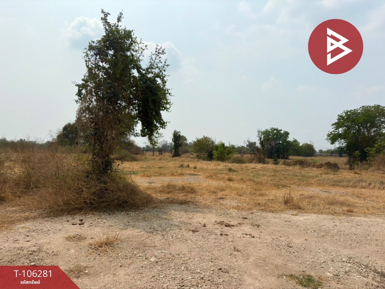 For SaleLandNakhon Sawan : Land for sale, divided into 8 plots, Takhli Nakhon Sawan, good location, cheap price