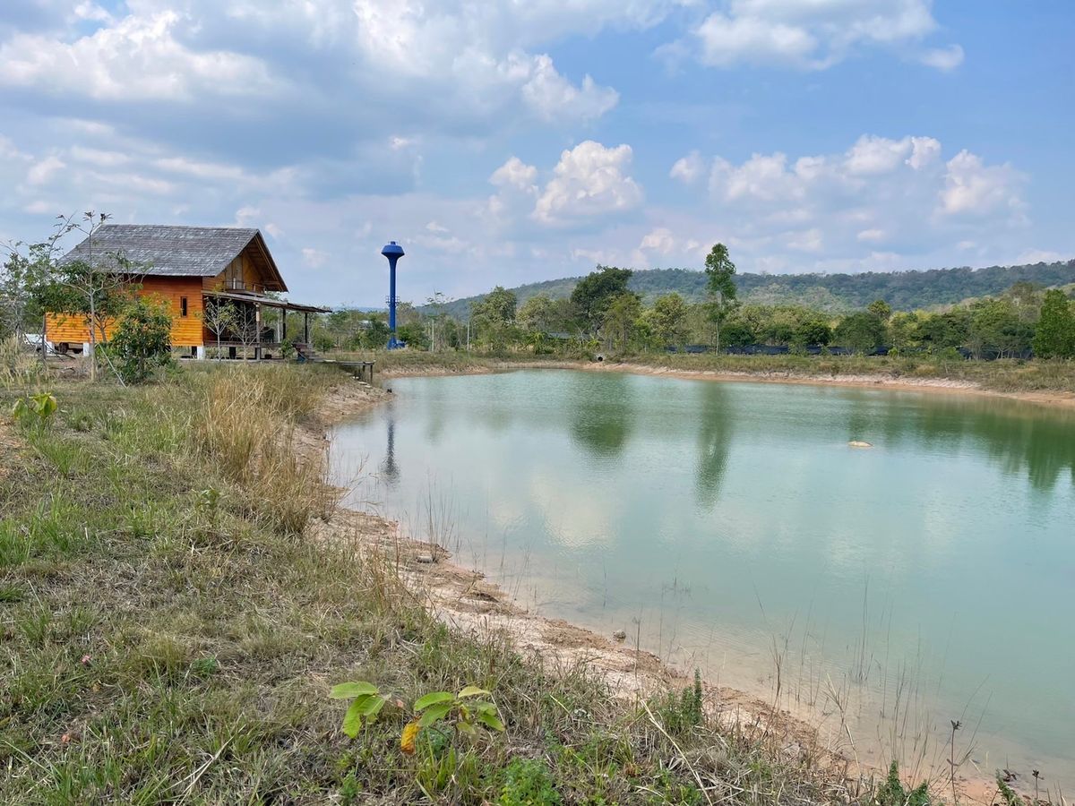 For SaleLandPrachin Buri : Golden Land! This price is no longer available. Prachinburi Province