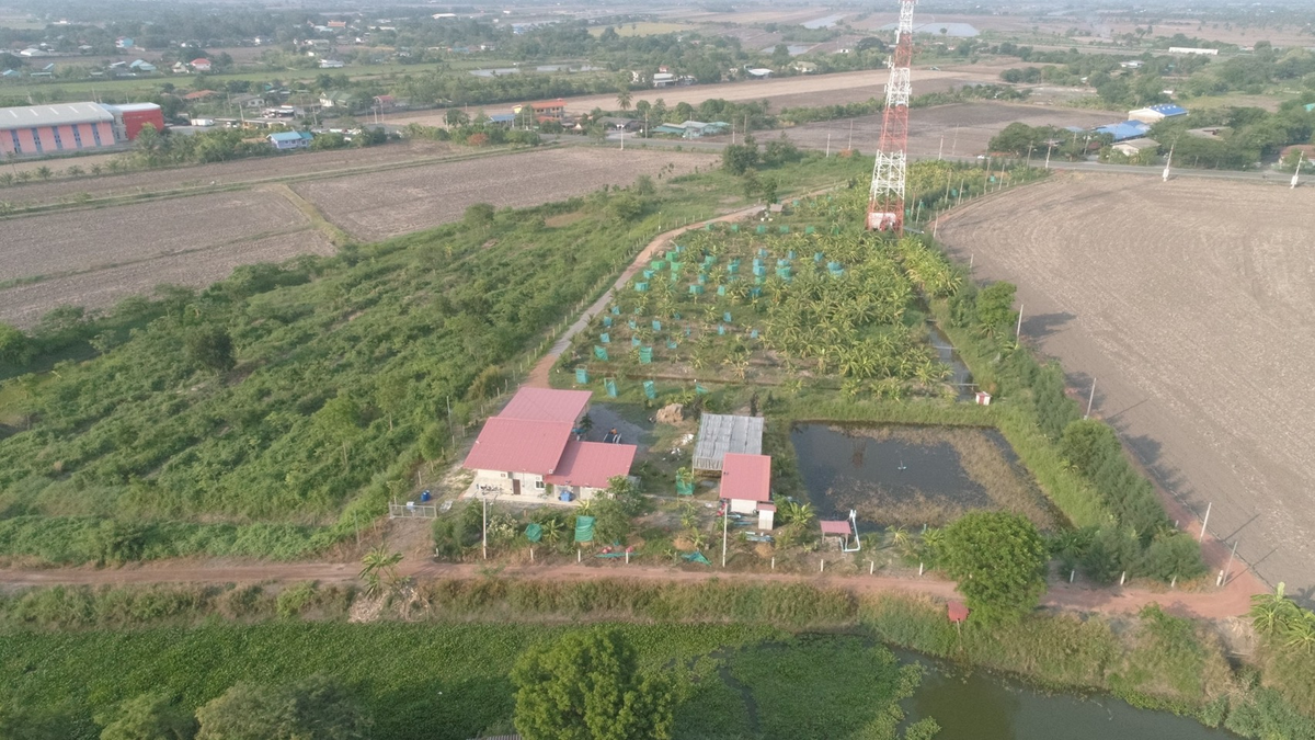 For SaleLandChachoengsao : Land for sale of 9 rai 1 ngan 28, Rangwa, 3200 Road, Chachoengsao-Bang Nam Priao With durian garden