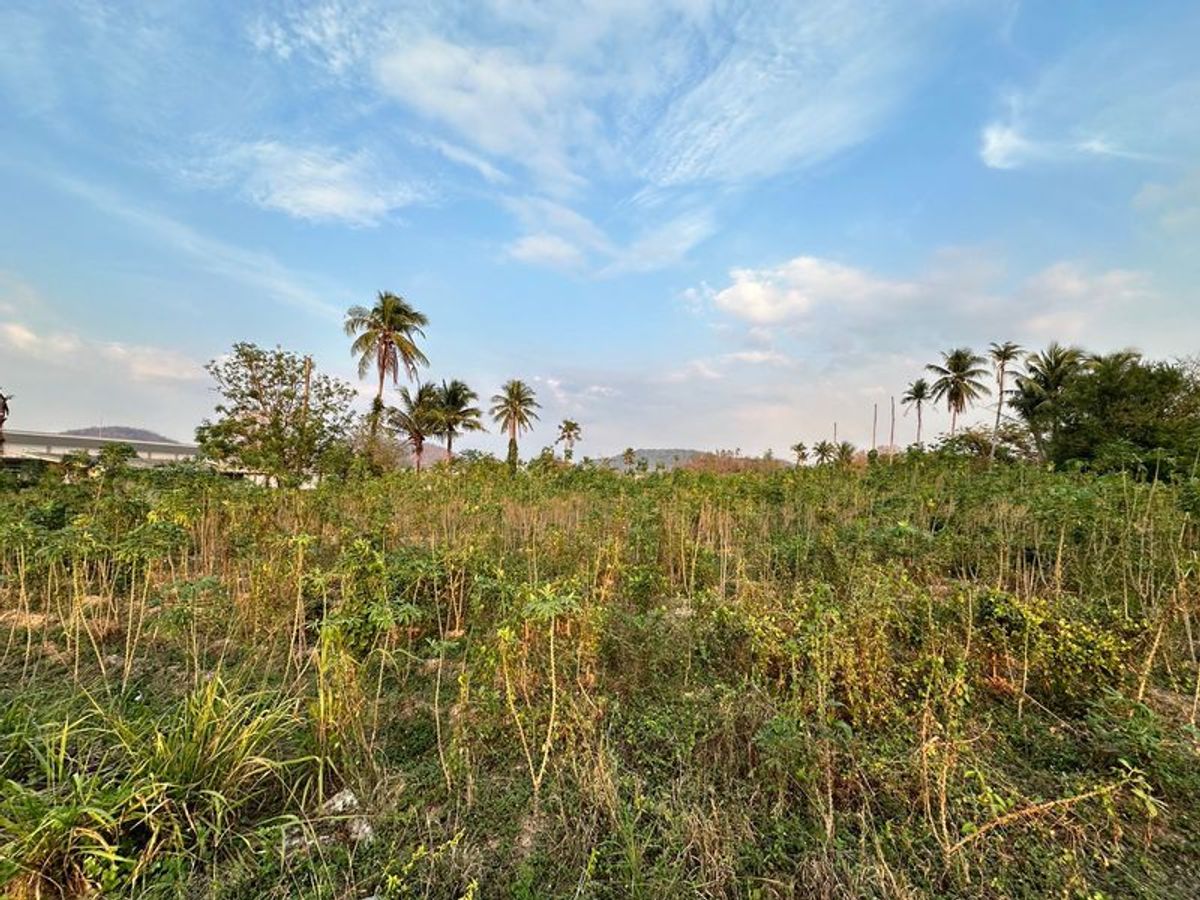 For SaleLandSriracha Laem Chabang Ban Bueng : Land for sale, industrial development area (Light purple plan, white spot) Khao Khan Sriracha