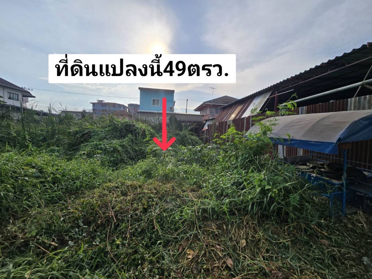 For SaleLandPathum Thani,Rangsit, Thammasat : Selling cheap land, Soi Rangsit-Nakhon Nayok 24  Near Future Park Rangsit