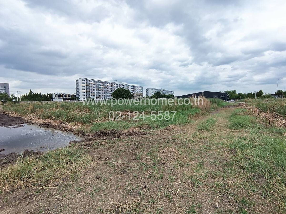 For SaleLandPathum Thani,Rangsit, Thammasat : Land for sale at 6 rai, Khlong Luang 25 canal, Pathum Thani Province