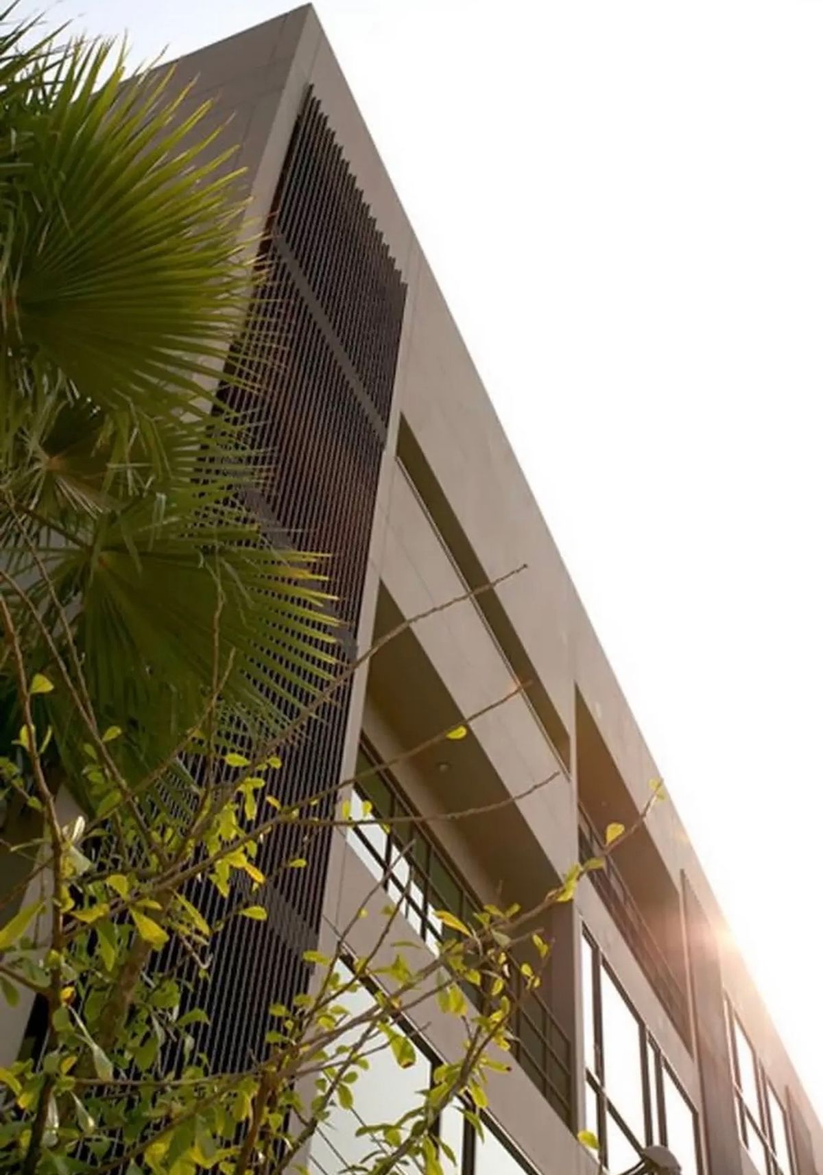 For RentTownhomePattanakan, Srinakarin : ✨ Townhome Development, Thonglor 15 minutes