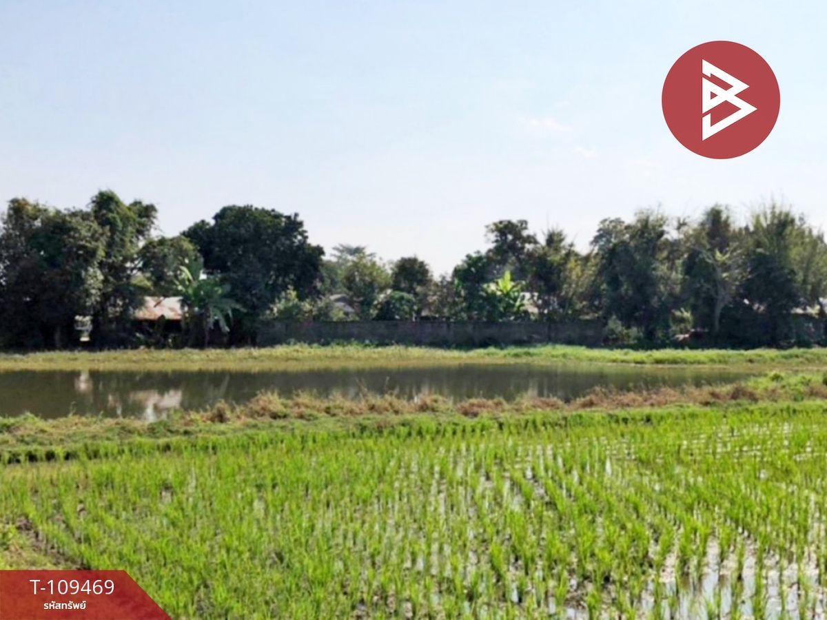 For SaleLandChiang Rai : Land for sale in an area of ​​5 rai 73 square wah, Rim Kok, Chiang Rai, rural roads