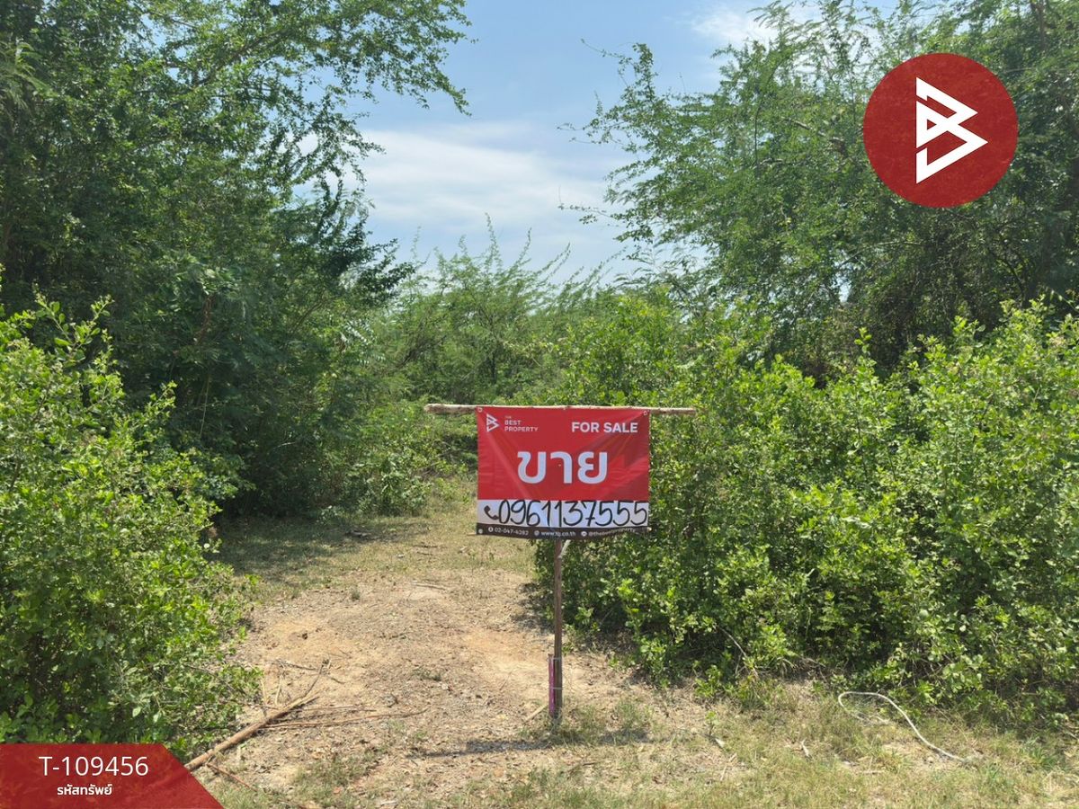ขายที่ดินชะอำ เพชรบุรี : ขายที่ดินเปล่า มี 4 แปลง เนื้อที่รวม 3 งาน 84 ตร.วา ชะอำ เพชรบุรี