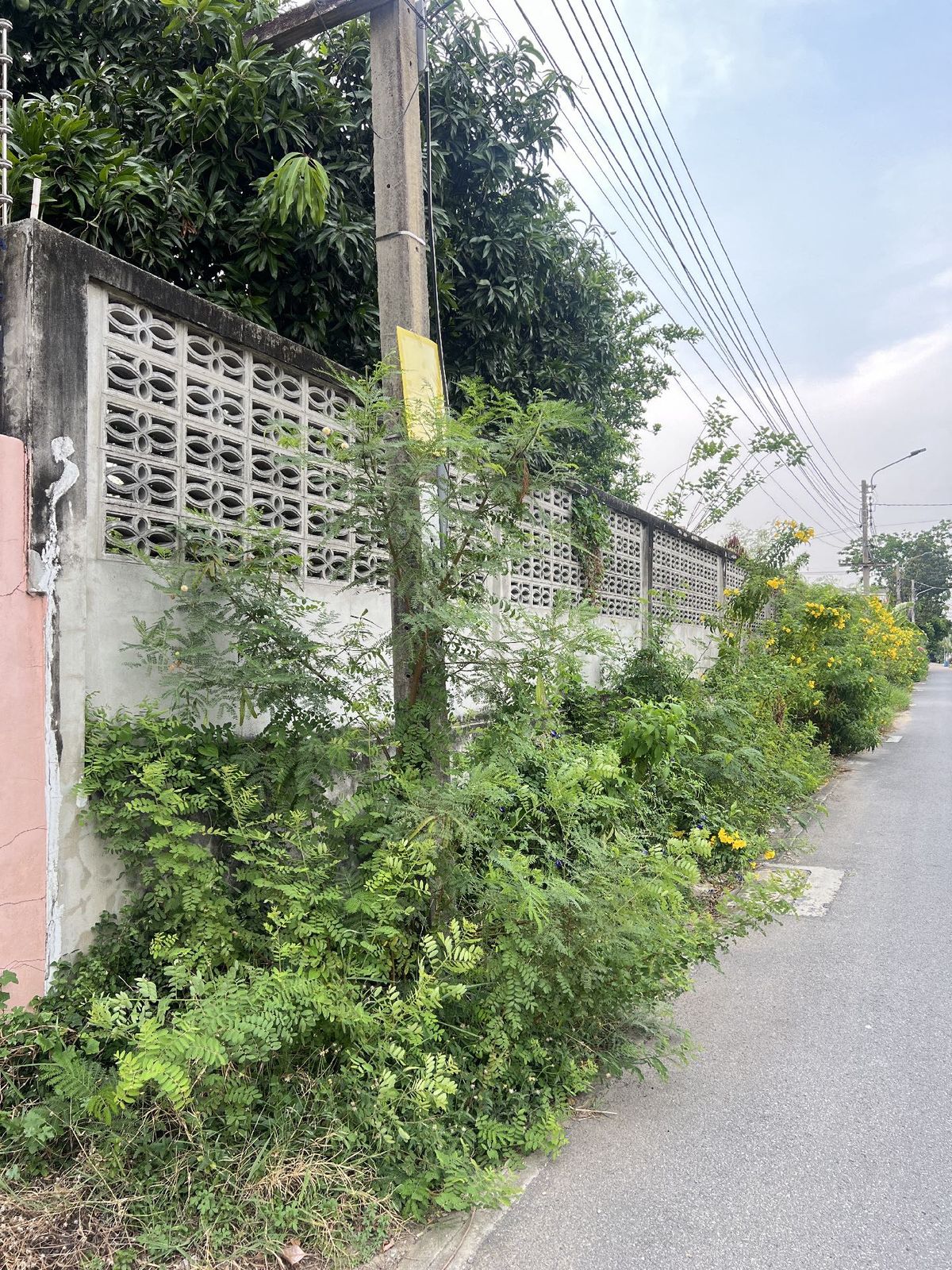 ขายที่ดินพุทธมณฑล ศาลายา : ขายที่ดินทำเลดีย่านทวีวัฒนา ใกล้สะพานตัดใหม่สายสี่-พรานนก