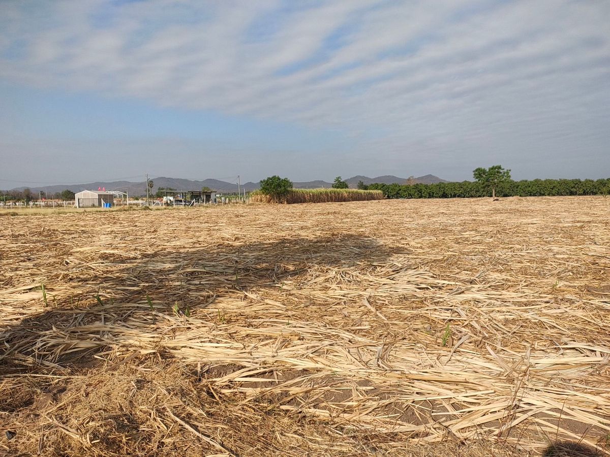 For SaleLandSuphan Buri : 🌿 Land for sale in U Thong, Suphan Buri 10-0-70 Rai, Khao Ngam View, Din Din Dee, ready to use‼ ️