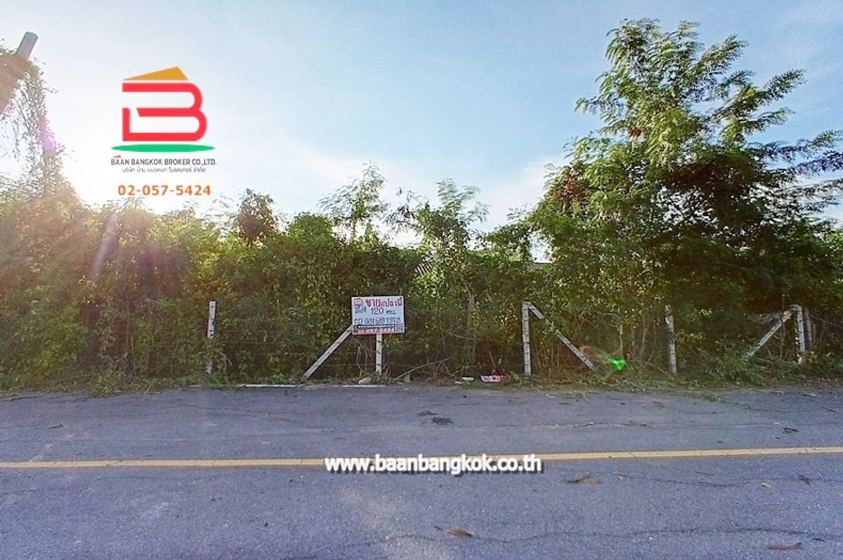 ที่ดินนนทบุรี บางใหญ่ บางบัวทอง : ขาย/เช่า ที่ดินถมแล้ว หมู่บ้านฉัตรหลวง เนื้อที่ 120 ตรว. ถนนกาญจนาภิเษก อ.ไทรน้อย จ.นนทบุรี