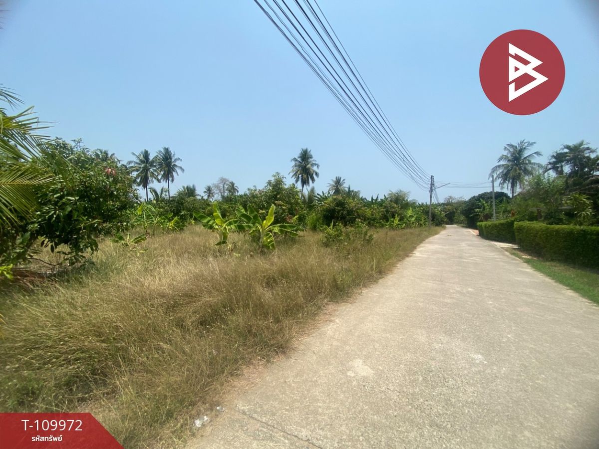 ขายที่ดินชะอำ เพชรบุรี : ขายที่ดิน เนื้อที่ 1 ไร่ ท่ายาง เพชรบุรี