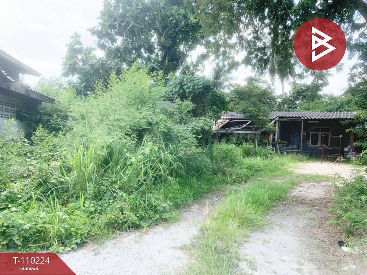 ขายที่ดินพัทยา บางแสน ชลบุรี สัตหีบ : ขายที่ดิน เนื้อที่ 1 งาน 78 ตร.วา หนองข้างคอก ชลบุรี