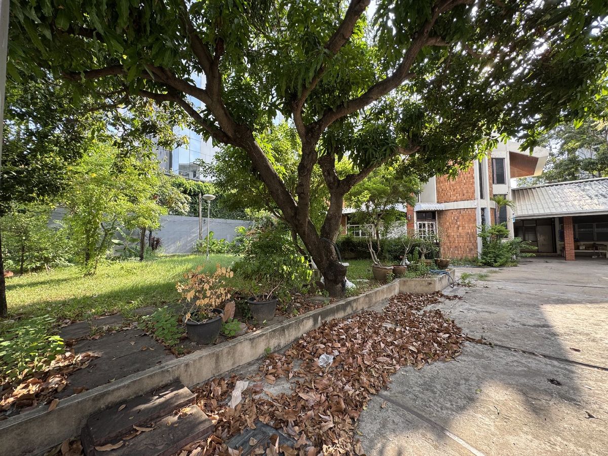 For RentHouseSukhumvit, Asoke, Thonglor : 🚆 2-Storey Detached House- Just 800 meters from BTS Thonglor, Ideal for Spa or Restaurant