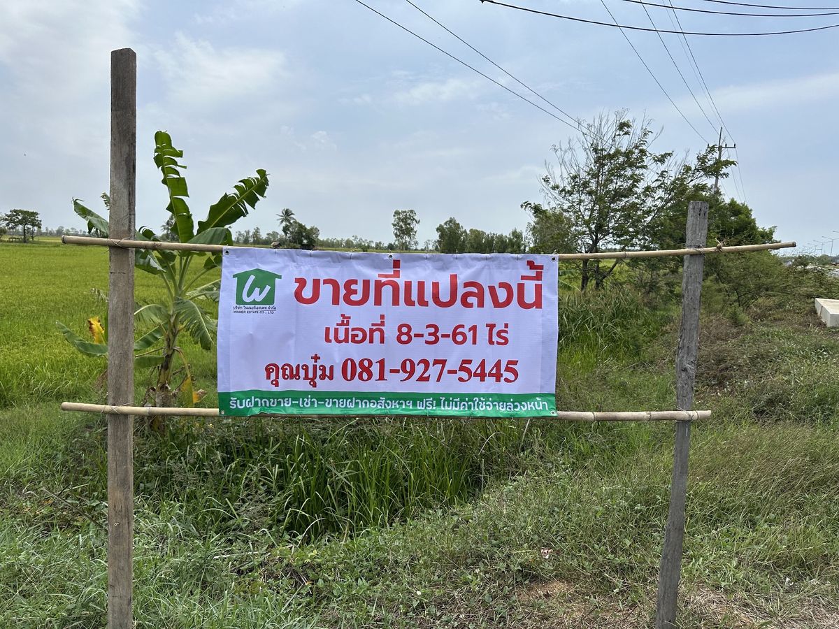 ขายที่ดินกาฬสินธุ์ : ขายที่ดินติดถนนเส้น 214 (กาฬสินธุ์-ร้อยเอ็ด)
ต.เจ้าท่า อ.กมลาไสย จ.กาฬสินธุ์
