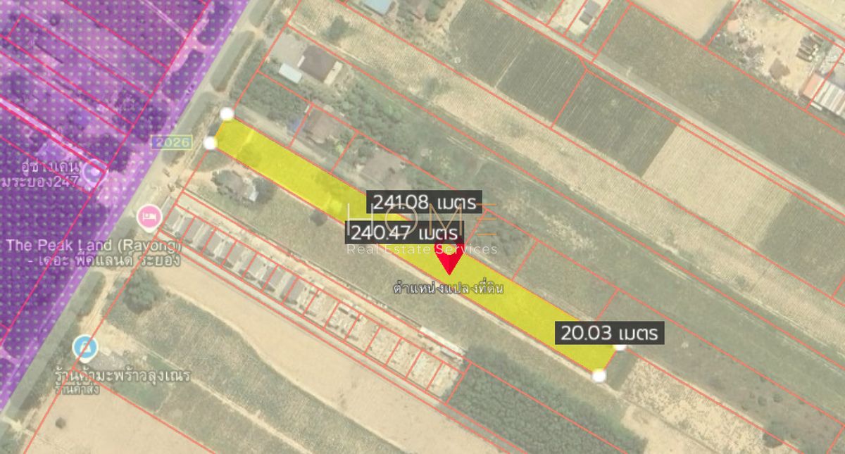 ขายที่ดินระยอง : ที่ดิน 2 ไร่ พนานิคม ซอย 12 นิคมพัฒนา / (ขาย), Land 2 Rai Phana Nikhom Soi 12 Nikhom Phatthana / (FOR SALE) NUT2019