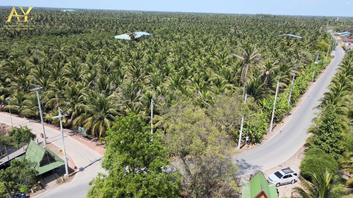 ขายที่ดินราชบุรี : 🚩ขายที่ดินดำเนินสะดวก 🌴🥥 สวนมะพร้าว ทำเลดี ติดถนน2ด้าน เนื้อที่ 10 ไร่ ขายไร่ละ 9 แสน เท่านั้น!!