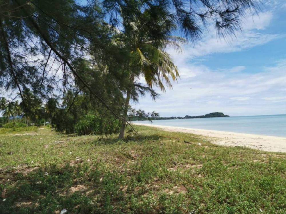 For SaleLandNakhon Si Thammarat : Land for sale in Sichon, Nakhon Si Thammarat, near the sea