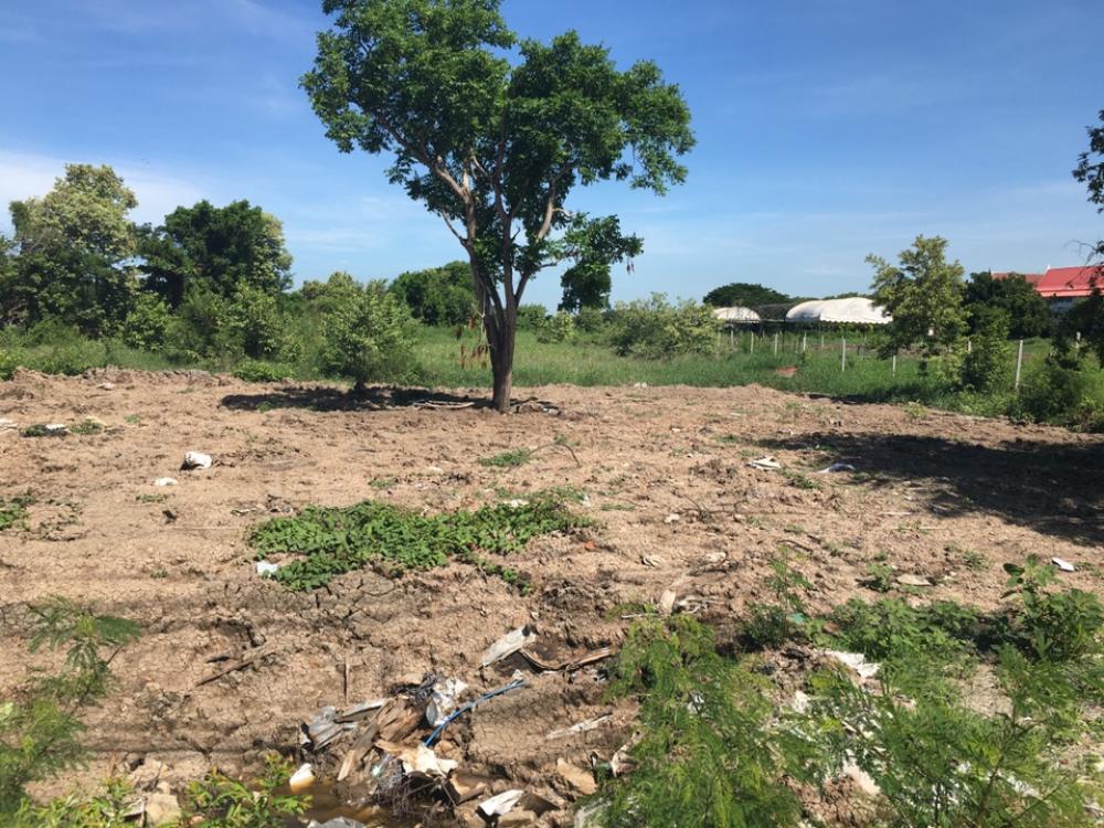 For SaleLandSamut Prakan,Samrong : Land for sale in Bangpla, opposite Bangpla health station.