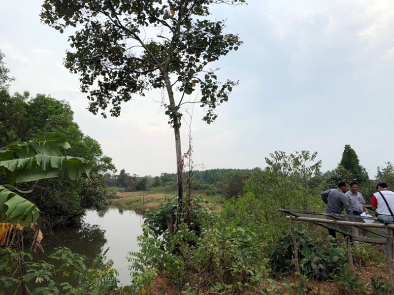 ขายที่ดินตราด : ขายที่ดินริมน้ำ แม่น้ำเวฬุ 1000 ไร่  ใกล้ถนนใหญ่ อำเภอ เขาสมิง ตราด