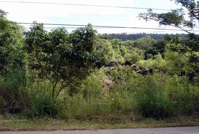 ขายที่ดินตราด : ขายที่ดิน 12 ไร่ ติดถนนสุขุมวิท คลองใหญ่ จ.ตราด