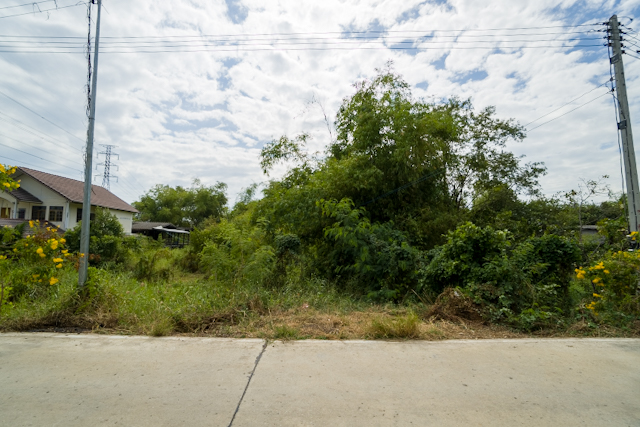 For SaleLandAyutthaya : Land for sale Bang Pa-in 105 square wa near Bang Pa-in Palace, Asian road, wide, next to concrete road Just 500 meters from the main road, suitable for building a house