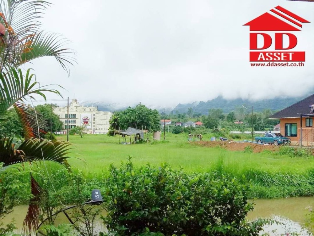 For SaleLandChiang Mai : Land for sale in Chiang Rai.