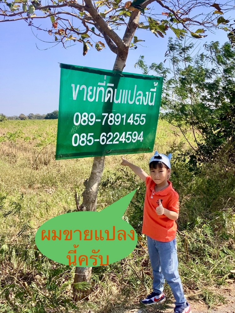 For SaleLandLop Buri : Land for sale / Land for sale, empty land for sale, beautiful plot, only 780 baht / sq.wa. Mountain view, suitable for purple zone factory project, electricity to Phatthana Nikhom District, Lopburi, convenient transportation near Saraburi, Pasak Chonlasit