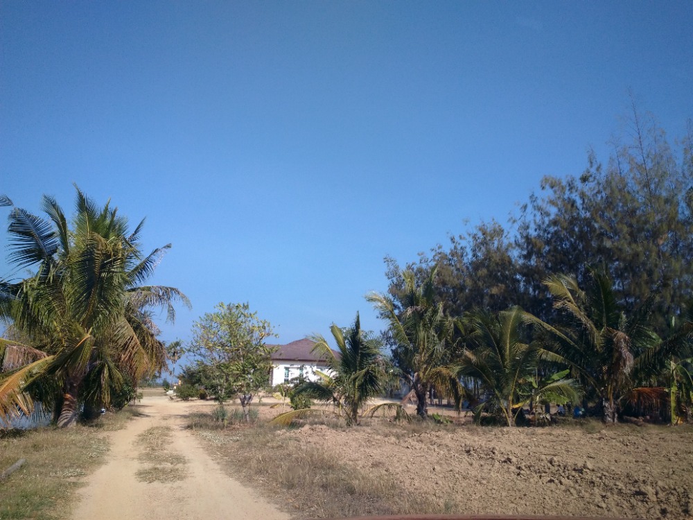 For SaleLandCha-am Phetchaburi : Land for sale and 1 house ready to move in.