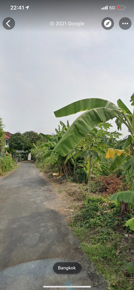 For SaleLandBang kae, Phetkasem : Land for sale in Soi Nong Yai. The future of the main road cuts through.