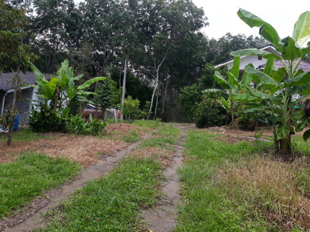 For SaleLandChanthaburi : Land for sale, 11 rai, next to the road, plus a sprouting area, Thap Sai, Pong Nam Ron, Chanthaburi.