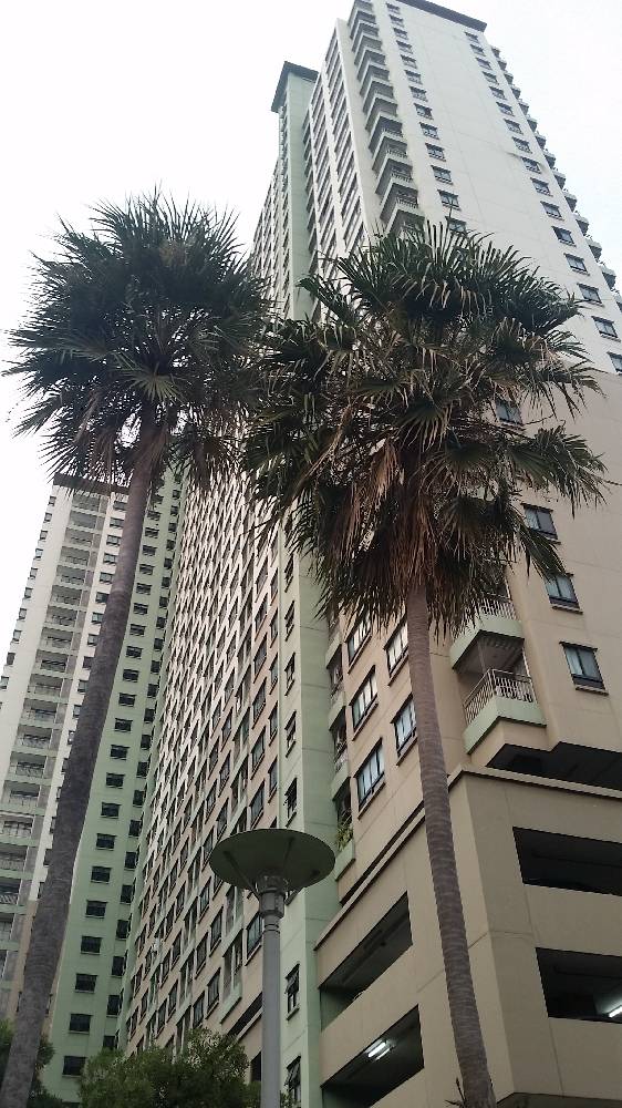 For RentCondoSapankwai,Jatujak : 🔥For rent Lumpini Place Phahon Saphan Khwai, 1 bedroom, 35 sq m, Building B, 28th floor.