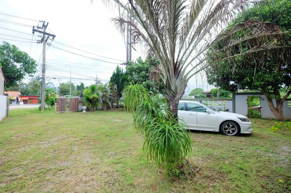 For SaleLandNakhon Si Thammarat : Land for sale, beautiful plot, next to the road reclamation, with a house fence, near Khanom beach, City Pillar Shrine, near Chedi Ai Khai Temple, Khanom District, Nakhon Si Thammarat