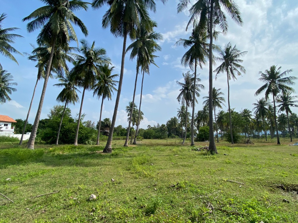 For SaleLandHuahin, Prachuap Khiri Khan, Pran Buri : For sale by owner, vacant land near the sea, only 200 meters, Prachuap Khiri Khan Province, Pranburi District, Sam Roi Yot Sub-District, 1 ngan, 25 sq m, selling price 2,200,000 baht.