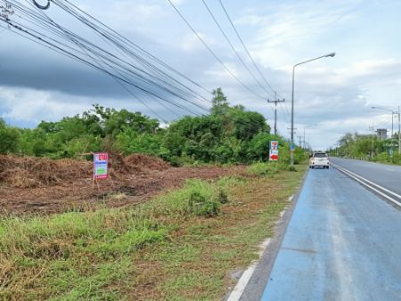 For SaleLandNakhon Si Thammarat : Land for sale on Pak Nakhon Road, near the city, land 260.4 sq m, good location, convenient transportation