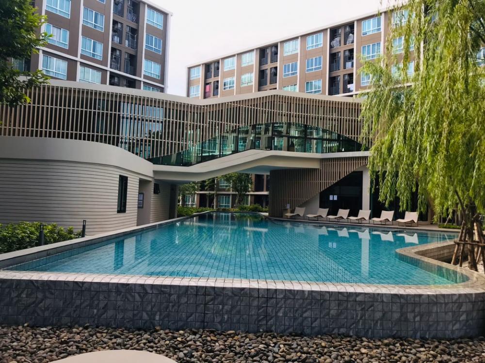 For RentCondoPathum Thani,Rangsit, Thammasat : Dcondo campus resort dome rangsit, beautiful room with swimming pool view