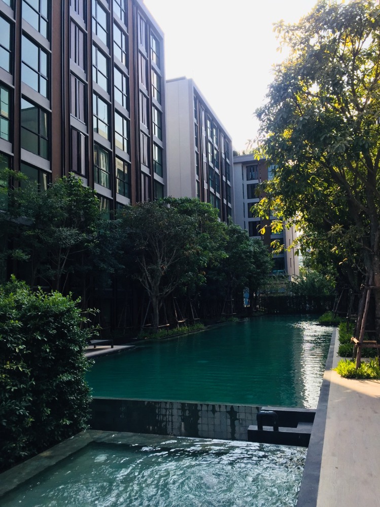 For RentCondoSukhumvit, Asoke, Thonglor : Condo vtara sukhumvit 36 ​​for rent