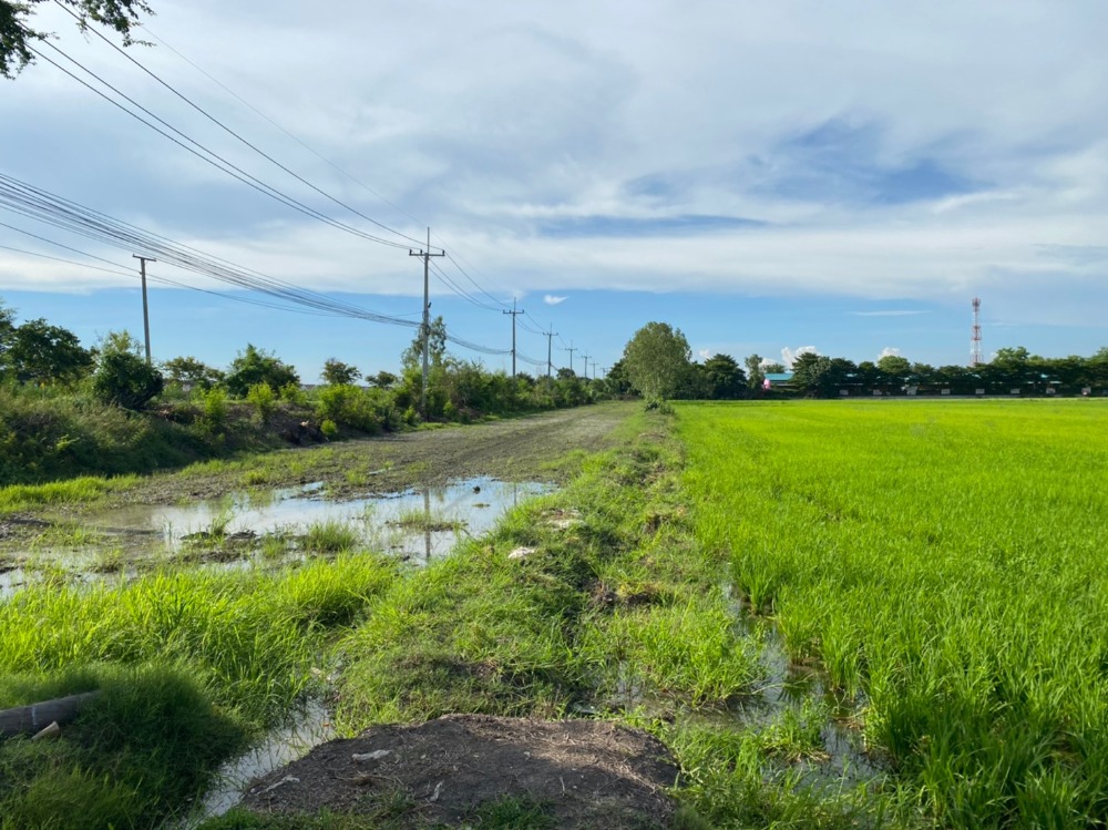 For SaleLandPathum Thani,Rangsit, Thammasat : Land 30 rai, Rangsit Klong 10, Rangsit-Nakhon Nayok Road, 10 rai per plot.