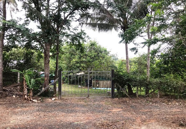 For SaleLandChanthaburi : Land for sale, 4 rai, is a mixed garden with a pond in the garden, Thap Sai Subdistrict, Pong Nam Ron District, Chanthaburi.