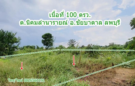 ขายที่ดินลพบุรี : ขาย ที่ดิน จัดสรร ชัยบาดาล ลพบุรี 100 ตร.วา ที่ดินแปลงสวย Land for SALE in Lopburi