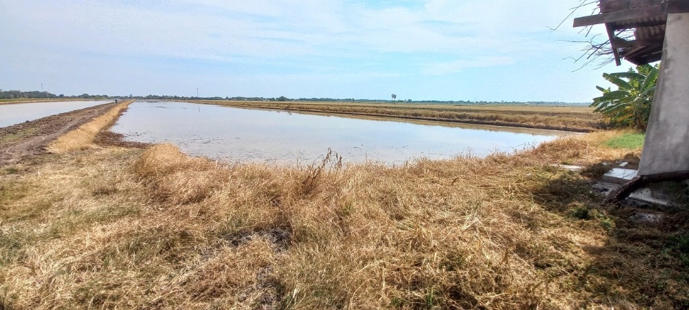 ขายที่ดินปทุมธานี รังสิต ธรรมศาสตร์ : ขายที่ดิน ต.คลองสี่ อ.คลองหลวง จ.ปทุมธานี 21ไร่-1งาน-72 ตร.วา วิวทุ่งนา แปลงสวยราคาถูก