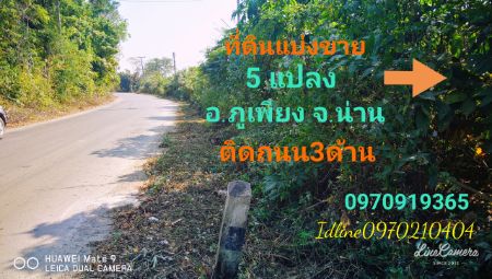 ขายที่ดินน่าน : ขาย ที่ดิน แบ่งขาย5แปลง ติดถนน3ด้าน 17 ไร่ 169 ตร.วา อ.ภูเพียง จ.น่านนส