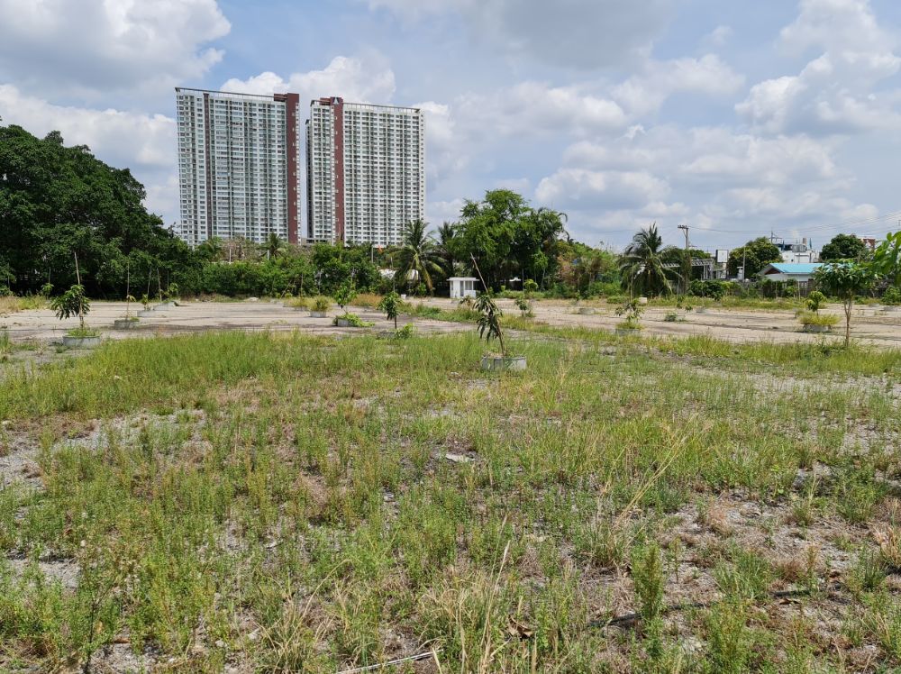 For SaleLandRama3 (Riverside),Satupadit : 📢 Beautiful land for sale.. the front is on Rama 3 Road, the back is on the Chao Phraya River. With a jetty..very beautiful view 📌 (Property number: COL004)