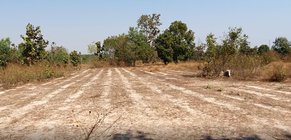 For SaleLandUbon Ratchathani : Land for sale 24 rai - 2 ngan -37 sq wa, Nikhom Lam Dome Noi Subdistrict, Sirindhorn District, Ubon Ratchathani Province.