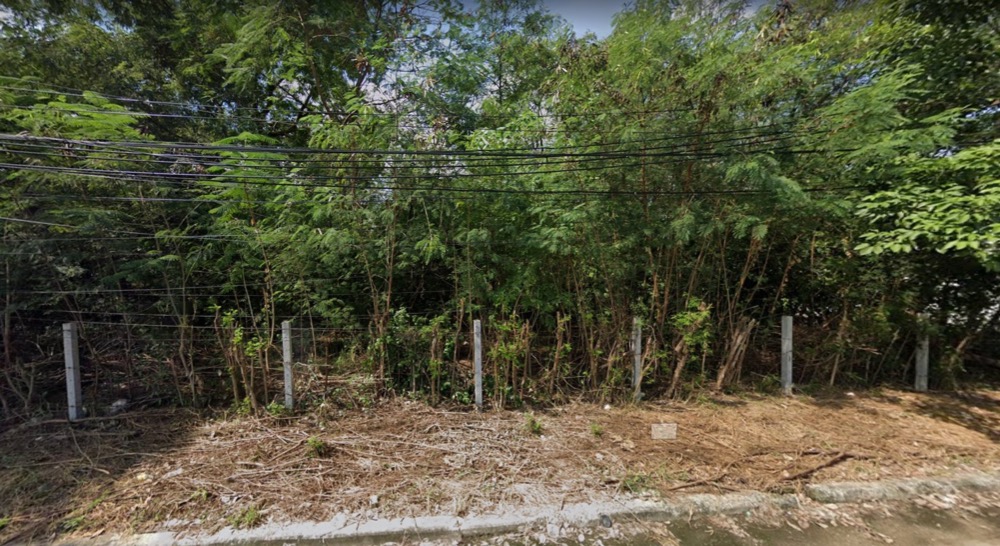 For SaleLandBang kae, Phetkasem : Land for sale in Rue Anan Village Soi Petchkasem 64 299 sq m, next to MRT Bang Khae, beautiful big plot