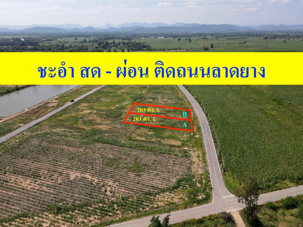 ขายที่ดินชะอำ เพชรบุรี : ขายที่ดิน อ.ชะอำ ใกล้ทะเล เนื้อที่ 200 ตร.ว. สด-ผ่อนได้ ถนนลาดยาง